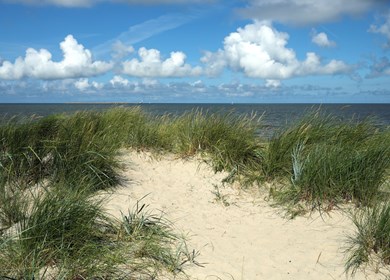 Nimtofte