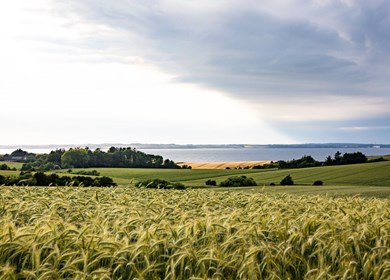 Karby am Limfjord