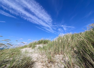 Gjerrild Strand
