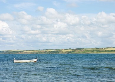 Nöring