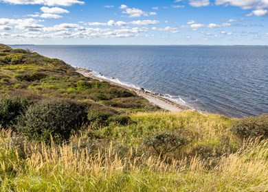 Limfjord