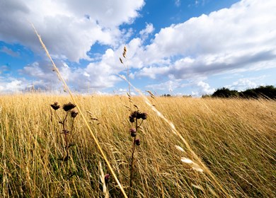 Sejerö Insel in Nordseeland