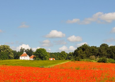 Vordingborg auf Seeland