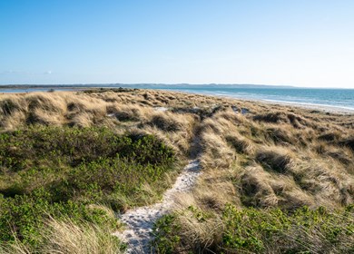 Gudmindrup Lyng und Strand in Nord Seeland