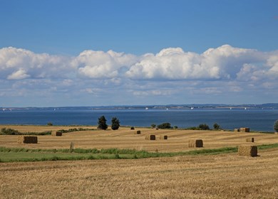 Dunkär auf Ärö