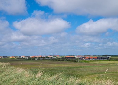 Langerhuse