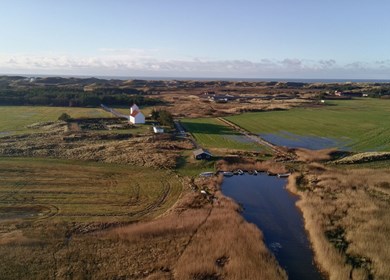 Haurvig