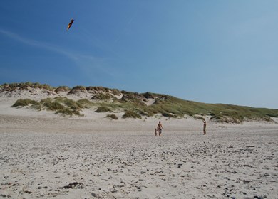 Svankjär