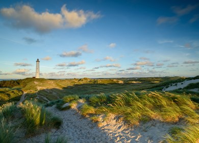 Holmsland Klit