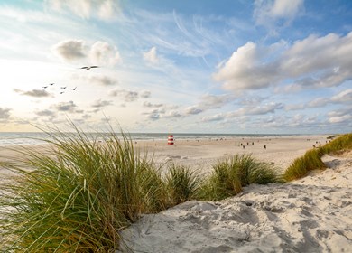 Blick auf schöne Landschaft mit Strand und Sanddünen in der Nähe von Henne Strand, Nordseelandschaft Jütland Dänemark