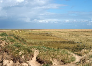 Dünen auf Römö
