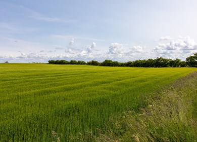 Öster Assels Landschaft