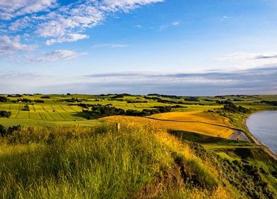 Örding Landschaft Limfjord