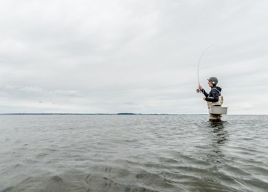 Lovn Breding Limfjord und Angeln