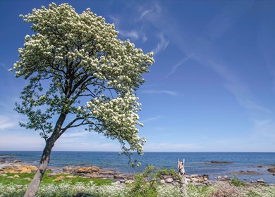 Sandkaas Strand