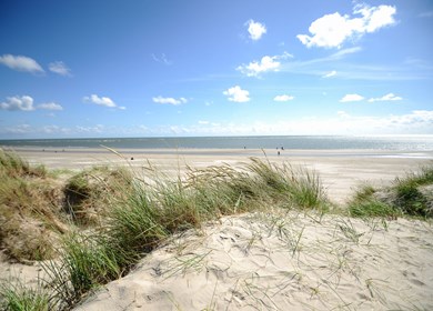 Nordsee für Ulfborg , Husby