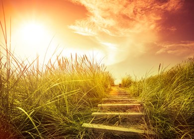 Strandzugang durch Dünengras für Skalstrup bei Husby