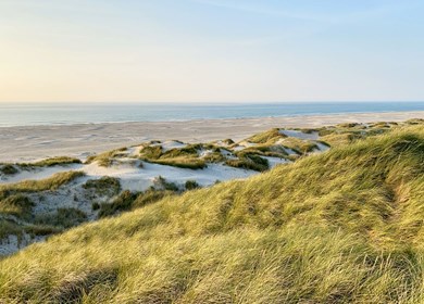 Skodbjerge Strand