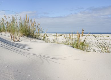 Nordseeküste für Houstrup