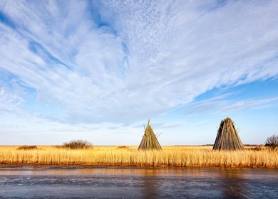 Stauning in Bork Havn