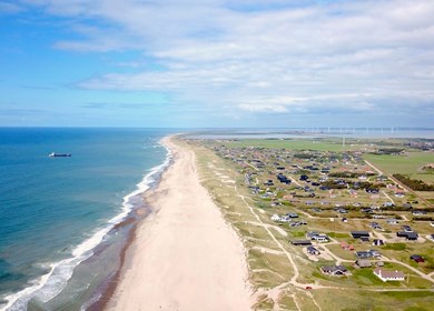 Vrist in Vejlby Klit