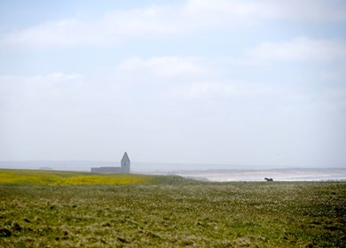 Trans Ferieby in Vejlby Klit