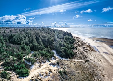 Ho in Nähe von Blavand