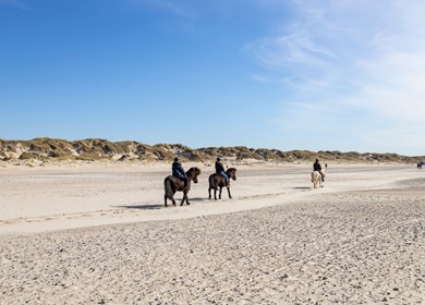 Houstrup - Nr. Nebel