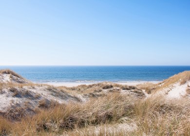 Dünen an der dänischen Nordseeküste am Strand von Blaavand