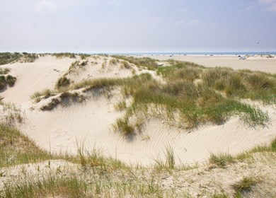 Sanddünen der Insel Romo, Westdänemark