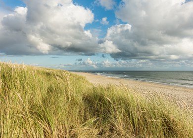 Strand mit Sanddünen und Marrakesch, blauer Himmel und Wolken im sanften Abendlicht. Hvidbjerg Strand, Blavand, Nordsee, Dänemark