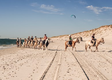 Hvide Sande am Nordseestrand