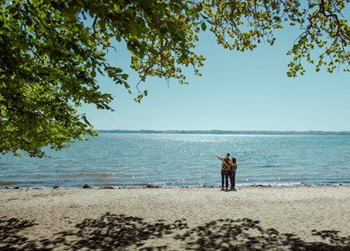 Asserballeskov in Süd Jütland