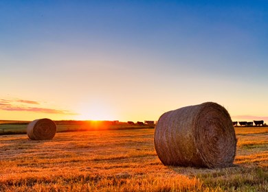 Gredesbro im Abendlicht