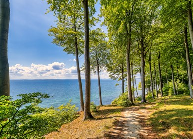 Wanderweg an Flensburger Förder in Dänemark
