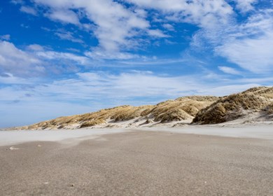 Grönhöj