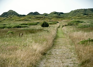 Hune Landschaft