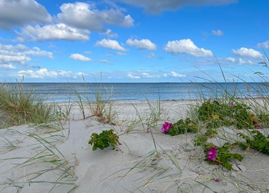 Strand in Napstjært