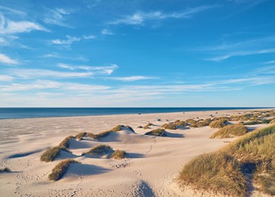 Jammerbucht